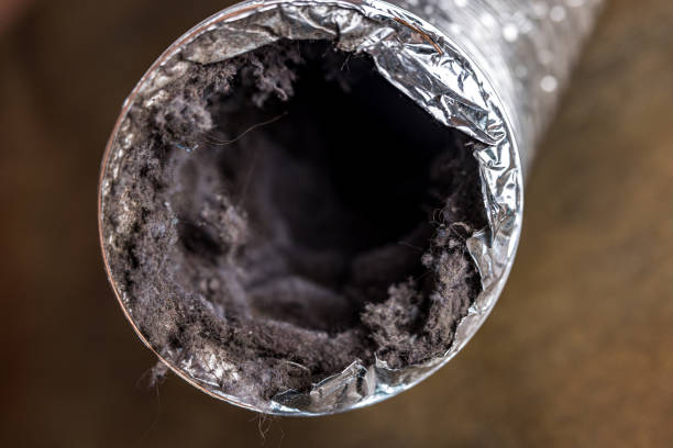 Best HVAC System Cleaning  in El Paso De Robles, CA