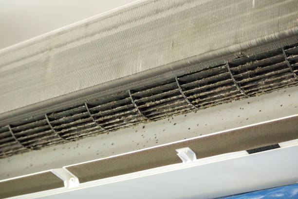 Best Air Duct Cleaning Near Me  in El Paso De Robles, CA